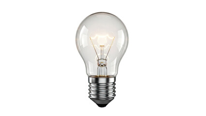 Incandescent Light Bulb