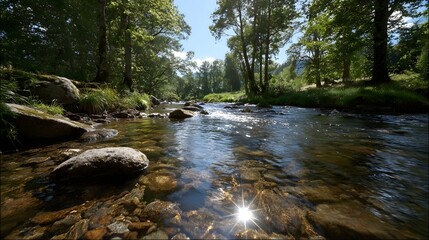 Bright sunlight glints on a clear flowing forest stream over rocky riverbed
