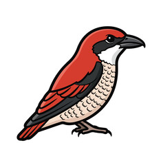 Fototapeta premium A vibrant bird with red, black, and white feathers