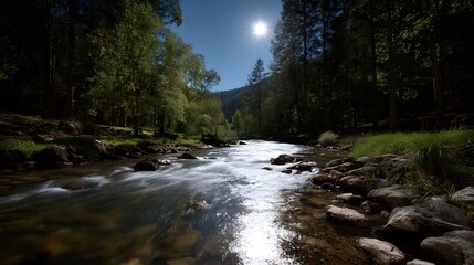 A clear sunlit river flows through a lush green forest with rocky banks under a bright blue sky