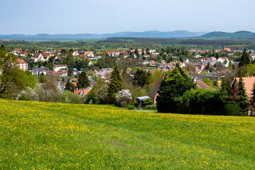 Lotissement de la ville de Saverne avec une prairie fleurie en avant plan