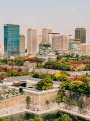 Fototapeta premium Distant view of the historic Osaka Castle tower surrounded by autumn foliage and modern skyscrapers in Japan