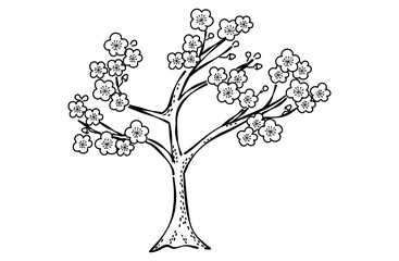 梅の木の線画イラスト