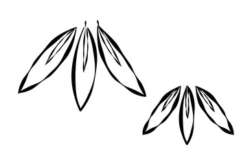 竹（笹の葉）の線画イラスト