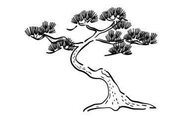 松の木の線画イラスト