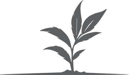 silhouette of a plant