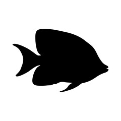 Fototapeta premium icon fish silhouette mono color black on transparent background vector design illustration