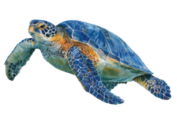 A turtle is swimming in the ocean