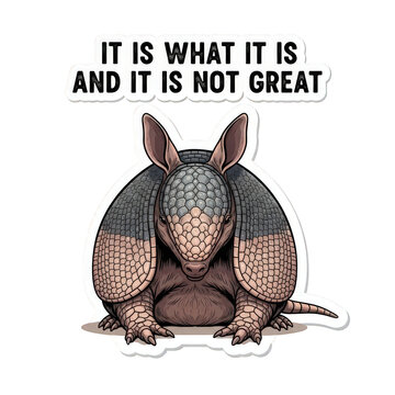 An armadillo sitting on the ground with a humorous quote above it, conveying a satirical message about its appearance