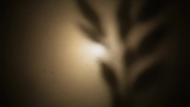 Shadowy figure looming in darkness with light source.