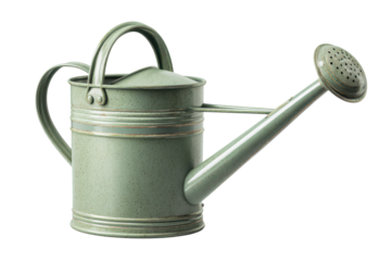 Satin sage green metal watering can with long spout and detachable rose nozzle beside it isolated on transparent background.
