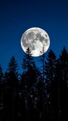 Large moon illuminating dark forest silhouettes against a starry night sky