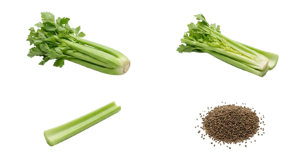 Crunchy Celery Stalks With Seeds And Ribs, Juice Bar Prep And Healthy Snack Styling, HydrationForward
