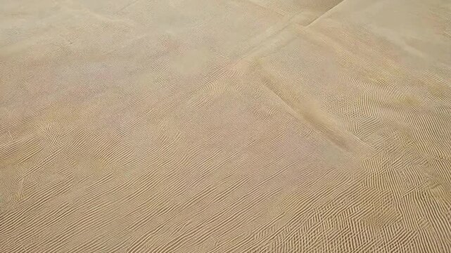 High-angle shot of fine sand ripples on a desert dune. Natural beige pattern created by wind erosion. Minimalist nature background.