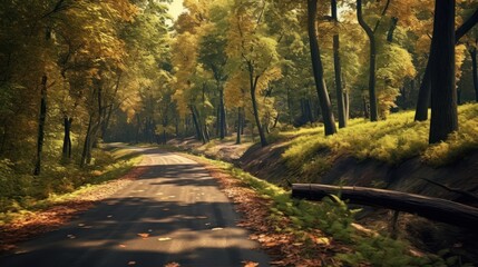Obraz premium Autumnal Forest Path - A Serene Journey Through Golden Foliage and Sunlight.