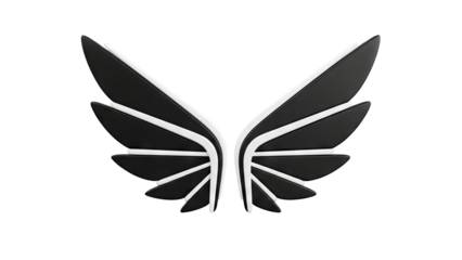 Abstract Black and White Wing Symbol