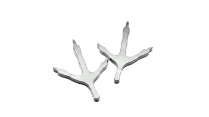 Black Bird Footprints