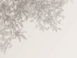 木の枝や葉の影が壁に映る背景素材