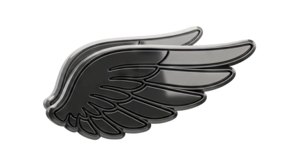 Black Glossy Wing Symbol