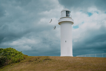 Photo taken in December 2025 at Flagstaff Point Lighthouse. The image captures the historic lighthouse, surrounding coastal landscape, and people enjoying the ocean views and outdoor activities.