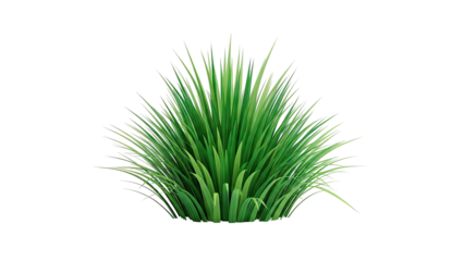 Lush green grass bush on white background