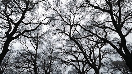 strictness. Trees swaying violently in a storm with flying leaves and branches under overcast sky. ESG reports, sustainability campaigns, designed for sustainability communications and ESG reporting.