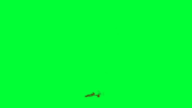 Fair Green Screen Background Video