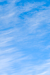 Fototapeta premium 空 秋 すじ雲 巻雲