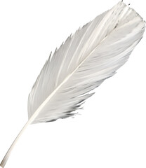 Obraz premium Scrapbook Feather