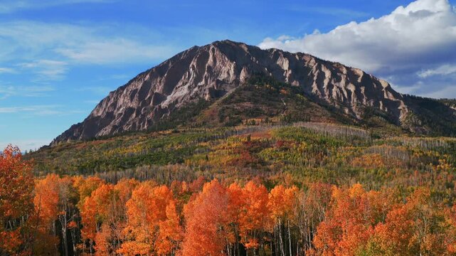 Kebler Pass Marcellina Mountain Afley Ruby Peak Raggeds Wilderness Colorado aerial drone sunny afternoon Autumn Fall clouds blue sky colorful yellow Aspen Trees Paonia Somerset Crested Butte upwards