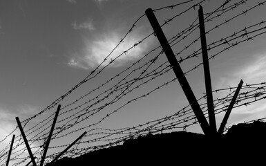 Barbed wire fence in black and white.