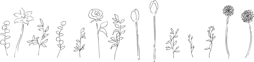 手描きの草木イラスト。植物のベクター背景イラスト。植物フレーム。Hand drawn plant illustration. Botanical vector background illustration. Plant frame.