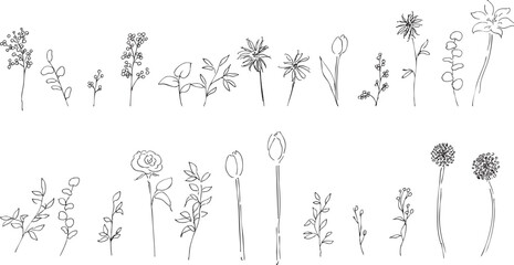 手描きの草木イラスト。植物のベクター背景イラスト。植物フレーム。Hand drawn plant illustration. Botanical vector background illustration. Plant frame.