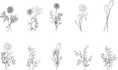 手描きの草木イラスト。植物のベクター背景イラスト。植物フレーム。Hand drawn plant illustration. Botanical vector background illustration. Plant frame.