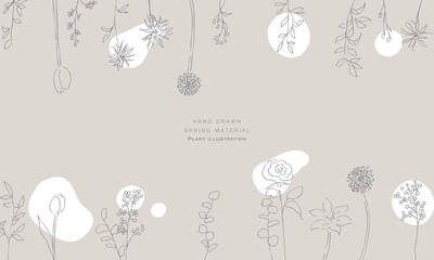 手描きの草木イラスト。植物のベクター背景イラスト。植物フレーム。Hand drawn plant illustration. Botanical vector background illustration. Plant frame.