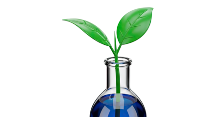 Plant growing in a laboratory flask with blue liquid
