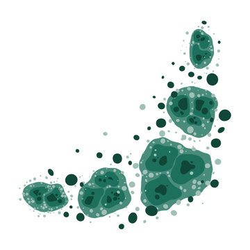 Green mold frame and mildew growth pattern in damp building. Fungal spores vector illustration.