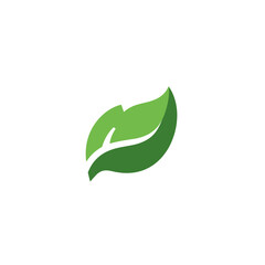 Stylized green leaf icon, organic nature logo design element, ecological symbol vector graphic