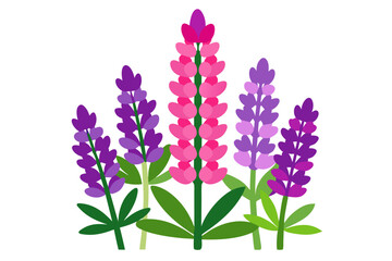 Obraz premium violet flowers isolated on white background