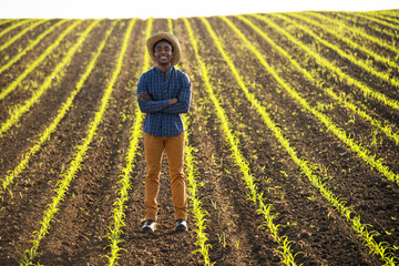 African farmer is standing in his growing corn field with arms crossed. He is satisfied with progress of plants.