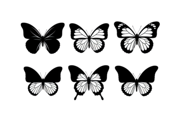 Six Stages of Butterfly Wing Development From Abstract Shape to Intricate Pattern Isolated on Black Background