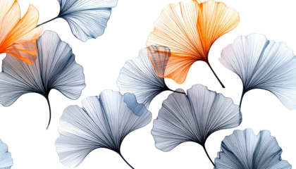 X-ray-like ginkgo leaves with translucent orange and blue hues on black