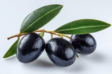 Three ripe black olives on a slender olive branch with green leaves, isolated on a white background