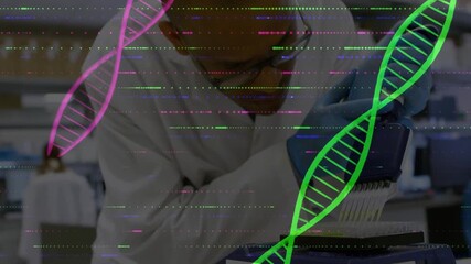 Scientist adjusting pipette tip on plate, aspirating, dispensing samples for test with DNA helices