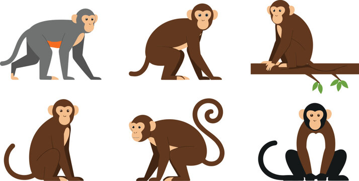 Cute cartoon monkey collection featuring various poses, tree sitting, walking, and playful expressions in simple flat illustration style