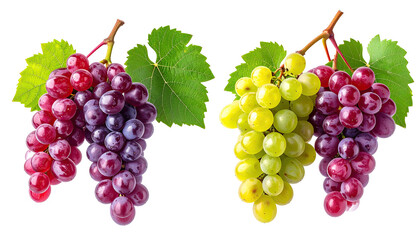 Fototapeta premium Clusters of red, green, and purple grapes with leaves on black background