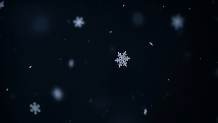 Snowflakes falling on dark background falling snow winter 4
