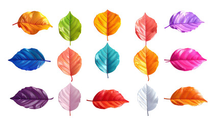 Fifteen vividly colored leaves arranged in a stylized, artistic display