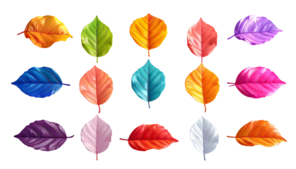 Fifteen vividly colored leaves arranged in a stylized, artistic display