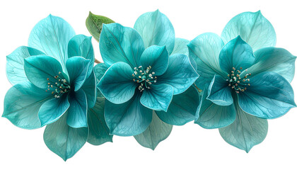 Rare jade vine flowers cascading in turquoise-green clusters, crystalline petal texture, vibrant tropical color palette, studio-lit realism, isolated on transparent background